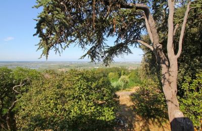 Maison à vendre Toscana:  