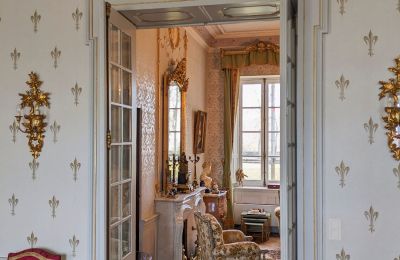 Château à vendre Saint-Bertrand-de-Comminges, Occitanie:  