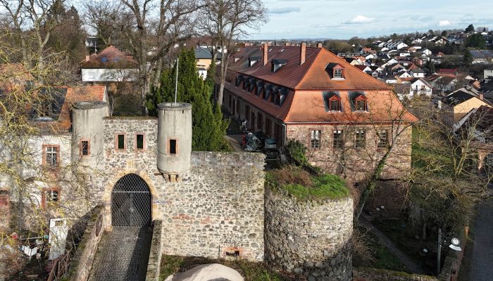 Château à vendre Hesse,  Allemagne