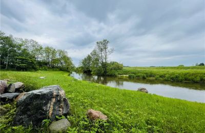 Manoir à vendre Paplin, Dwór w Paplinie, Mazovie:  