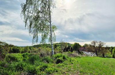 Manoir à vendre Lubomierz, Basse-Silésie, Image 26/29
