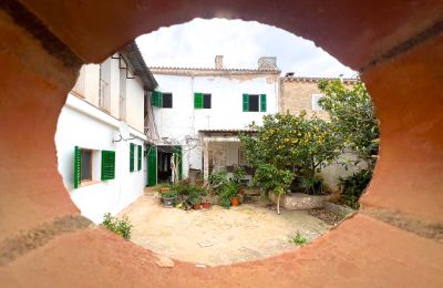 Manoir à vendre Ses Salines, Îles Baléares, Image 2/9