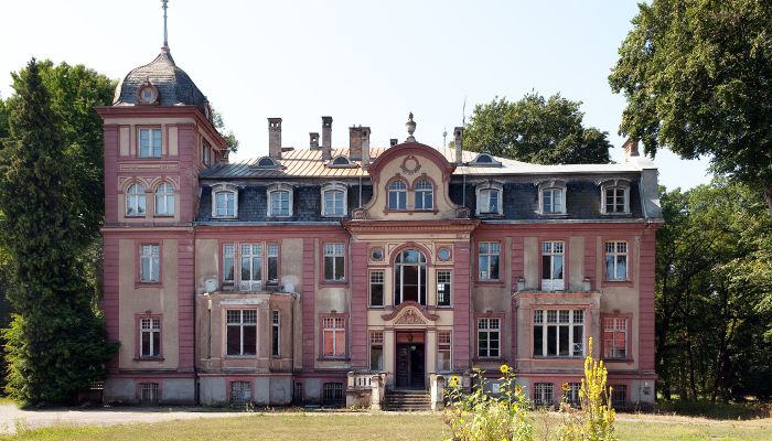 Château à vendre Brzeźnica, Lubusz,  Pologne