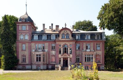 Château à vendre Brzeźnica, Bobrzańska 1, Lubusz, Vue frontale