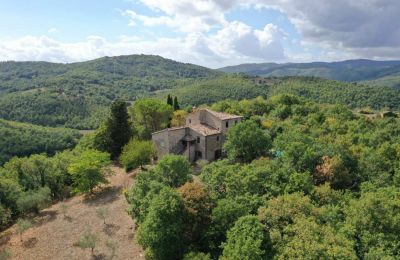 Ferme à vendre 06019 Preggio, Ombrie:  