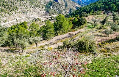 Demeure historique à vendre Relleu, Valence, Image 21/24