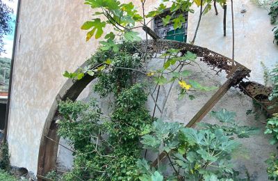 Maison a vendre  Diano San Pietro:  