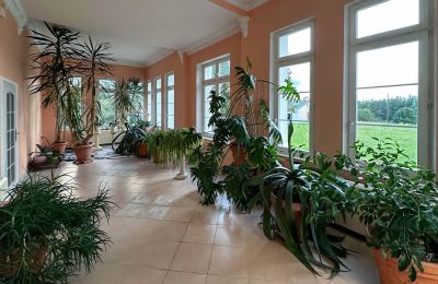 Château à vendre Olsztyn, Varmie-Mazurie, Image 9/14