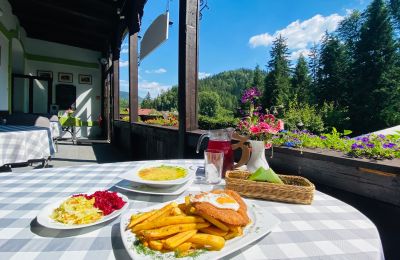 Propriété historique à vendre Kowalowa, Basse-Silésie, Taras restauracyjny front