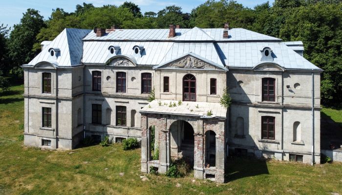 Château à vendre Więsławice, Cujavie-Poméranie,  Pologne