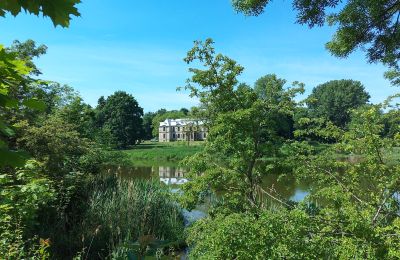 Château à vendre Więsławice, Cujavie-Poméranie, Terrain