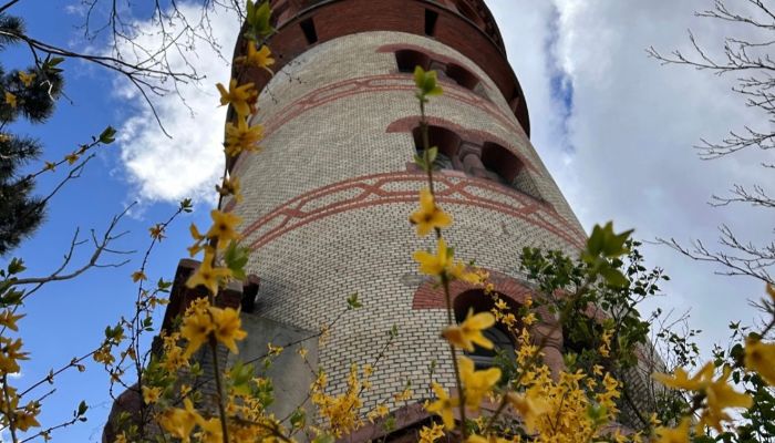  Ludwigshafen am Rhein 2