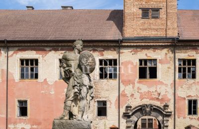 Château à vendre Kounice, Zámek Kounice, Středočeský kraj, Vue frontale