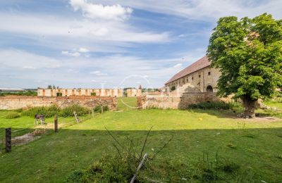 Château à vendre Kounice, Zámek Kounice, Středočeský kraj, Dépendance