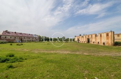 Château à vendre Kounice, Zámek Kounice, Středočeský kraj, Zámek Kounice 2024