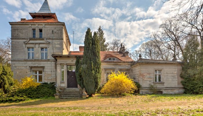 Manoir à vendre Żegrowo, Grande-Pologne,  Pologne