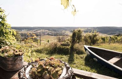 Propriété historique à vendre 8271 Bad Waltersdorf, Steiermark, Image 18/20