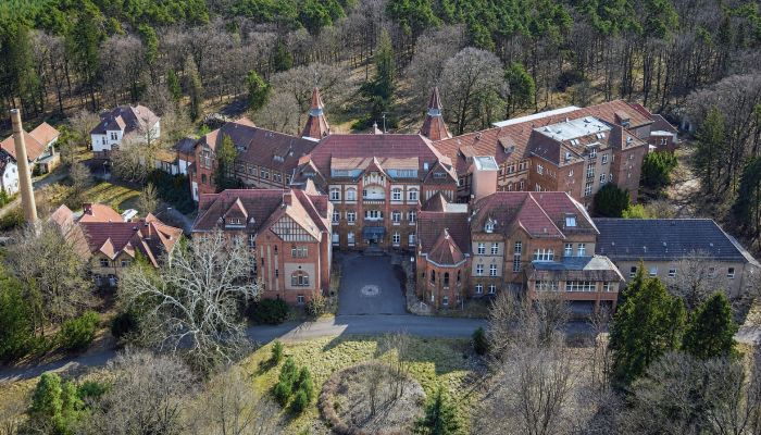 Château à vendre Cottbus, Brandebourg