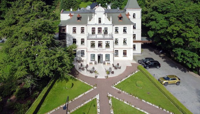 Demeure historique à vendre Duszniki-Zdrój, Basse-Silésie,  Pologne
