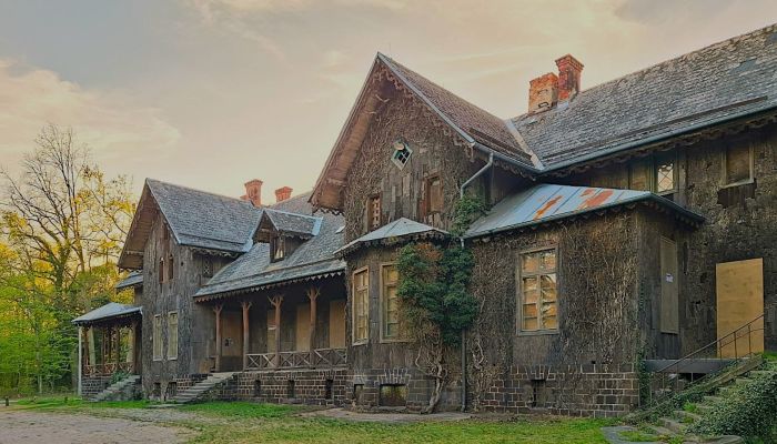 Château à vendre Sośnie, Grande-Pologne
