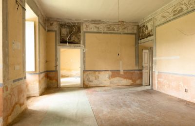 Manoir à vendre Rożnów, Dwór w Rożnowie, Petite-Pologne, Image 13/25