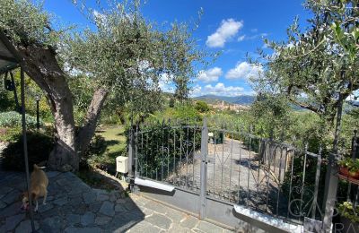 Maison a vendre  Oliveto:  