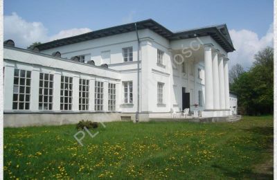 Immobilier, Pologne : le château du classicisme à vendre