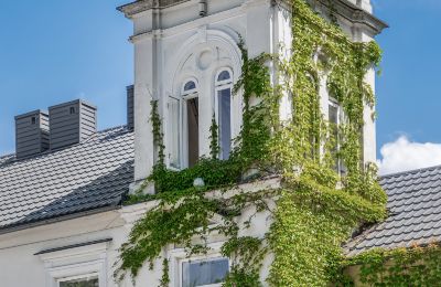 Manoir à vendre Pstrokonie, Łódź, Image 5/50