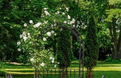 Manoir à vendre Pstrokonie, Łódź, Image 3/50
