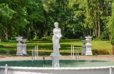 Manoir à vendre Pstrokonie, Łódź, Image 2/50