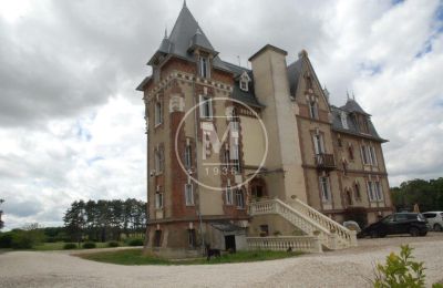 Immobilier historique à vendre Gien:  