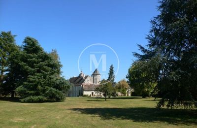 Immobilier historique à vendre Châtellerault:  