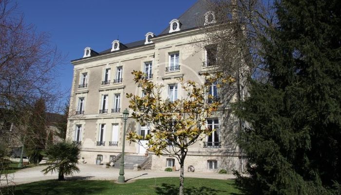 ???images??? Manoir à vendre Chinon 15 pièces - 492 m²
