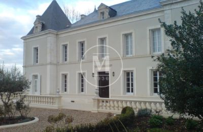 Immobilier historique à vendre Le Petit Tourtre:  