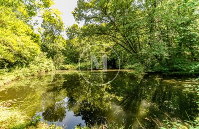 Immobilier historique à vendre Cour St Sauveur:  