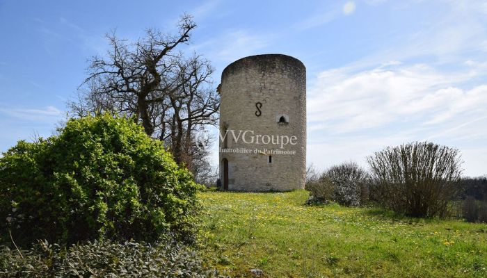 Château du 17ème siècle avec cour d'honneur, piscine sur 8,9 hect Monflanquin