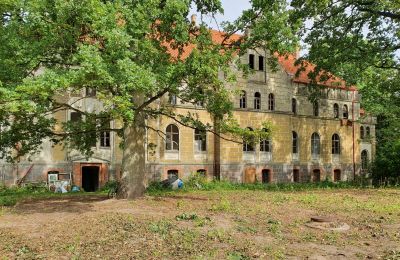 Nous achetons un vieux château, Vue arrière