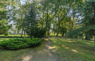 Château à vendre Mgowo, Pałac w Mgowie, Cujavie-Poméranie, Terrain