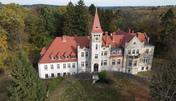 Château à vendre Grabiszyce Średnie, Basse-Silésie,  Pologne