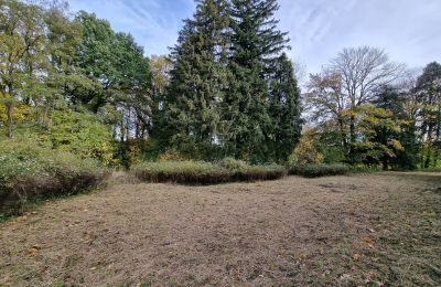Château à vendre Grabiszyce Średnie, Basse-Silésie, Parc