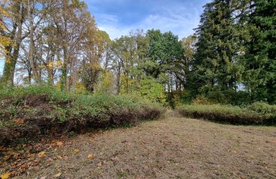 Château à vendre Grabiszyce Średnie, Basse-Silésie, Image 20/23