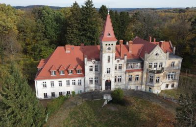 Château Grabiszyce Średnie, Basse-Silésie