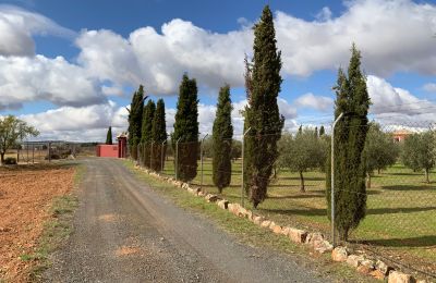 Maison de campagne à vendre Almagro, Almagro, Castille-La Manche, Accès