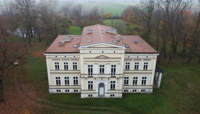 Schloss mit Nebengebäuden und Park - Projektgenehmigung Seniorenwohnen