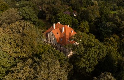 Château Wilków, Opole