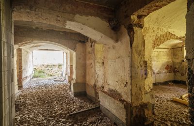 Château à vendre Wilków, Parkowa 1, Opole, Cave