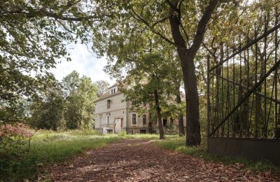 Château à vendre Wilków, Parkowa 1, Opole, Accès