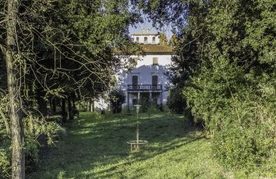Demeure historique à vendre Pontedera, Toscane, Accès