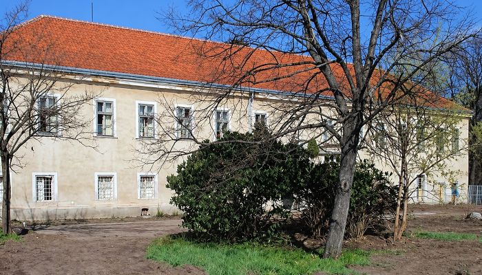  Rumanová 1