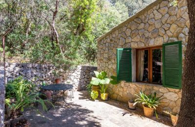 Maison à vendre Puigpunyent:  